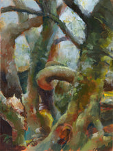 Load image into Gallery viewer, "Kirstenbosch Scenes Prints"