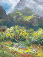 Load image into Gallery viewer, "Kirstenbosch Scenes Prints"