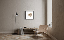 Load image into Gallery viewer, Nest Limited Edition Print