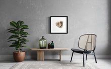 Load image into Gallery viewer, Nest Limited Edition Print