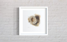 Load image into Gallery viewer, Nest Limited Edition Print
