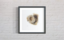Load image into Gallery viewer, Nest Limited Edition Print