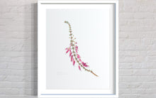 Load image into Gallery viewer, Erica baueri Pink Limited Edition Print