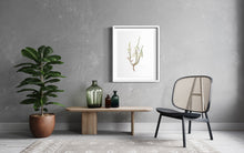 Load image into Gallery viewer, Erica baueri White Limited Edition Print