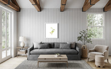 Load image into Gallery viewer, Erica viridiflora Limited Edition Print