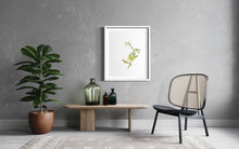 Load image into Gallery viewer, Erica viridiflora Limited Edition Print