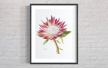 Load image into Gallery viewer, Protea cyneroides "Madiba" Limited Edition Print