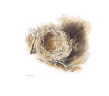 Load image into Gallery viewer, Nest Limited Edition Print