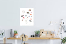 Load image into Gallery viewer, Cape Shells Limited Edition Print