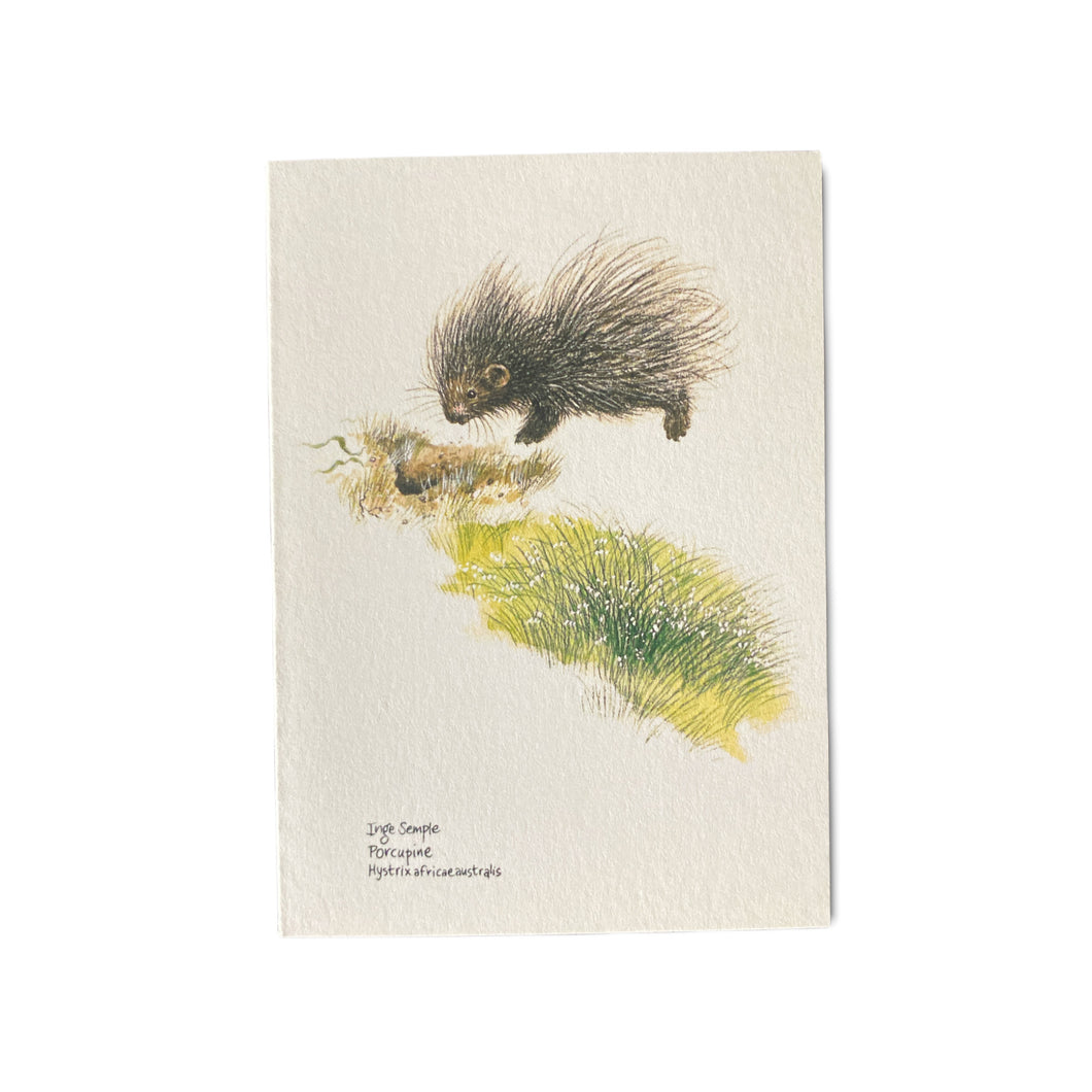 Porcupine Card
