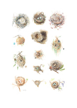 Load image into Gallery viewer, Cape Nests Limited Edition Print
