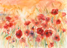 Load image into Gallery viewer, Evening Poppy Field Limited Edition Print
