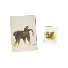 Load image into Gallery viewer, Chacma Baboon Card
