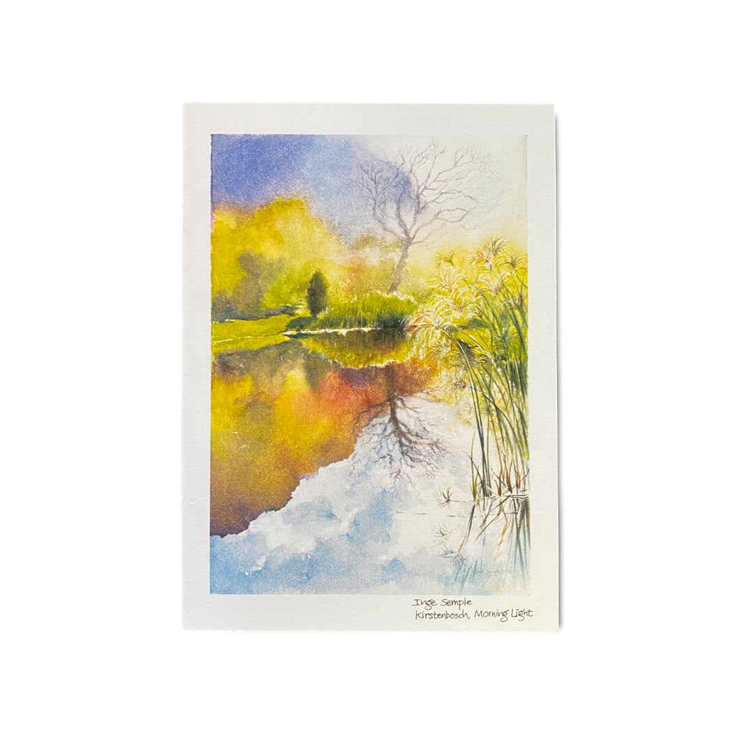 Kirstenbosch, Morning Light Card