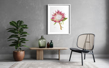 Load image into Gallery viewer, Protea cyneroides &quot;Madiba&quot; Limited Edition Print
