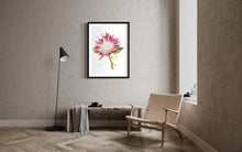 Load image into Gallery viewer, Protea cyneroides &quot;Madiba&quot; Limited Edition Print
