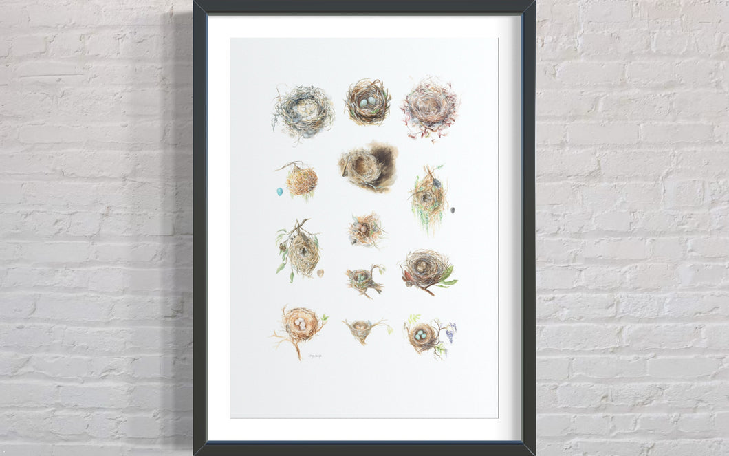 Cape Nests Limited Edition Print