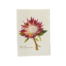 Load image into Gallery viewer, Protea Madiba Card
