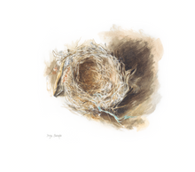 Load image into Gallery viewer, Nest Limited Edition Print
