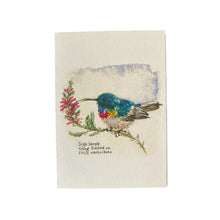 Load image into Gallery viewer, Young Sunbird on Erica Card
