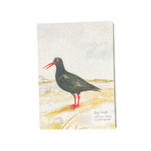 Load image into Gallery viewer, African Black Oystercatcher Card
