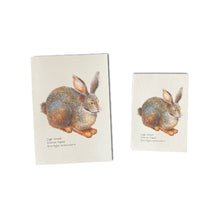 Load image into Gallery viewer, Riverine Rabbit Card
