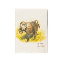 Load image into Gallery viewer, Chacma Baboon Card

