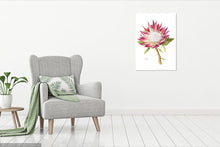 Load image into Gallery viewer, Protea cyneroides &quot;Madiba&quot; Limited Edition Print
