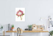 Load image into Gallery viewer, Protea cyneroides &quot;Madiba&quot; Limited Edition Print
