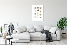 Load image into Gallery viewer, Cape Nests Limited Edition Print
