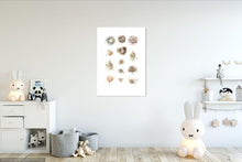 Load image into Gallery viewer, Cape Nests Limited Edition Print
